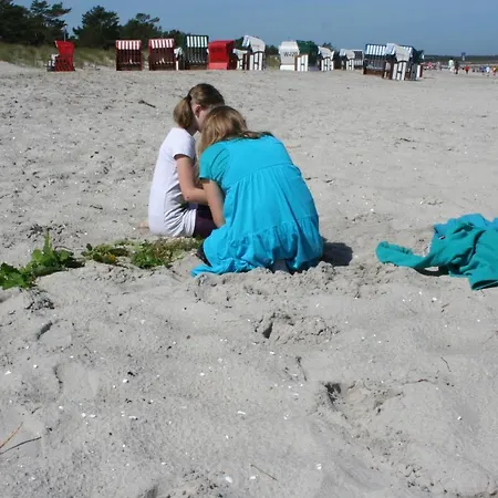 Luxus-ferienhaus Auf Reiterhof Art.quartier *