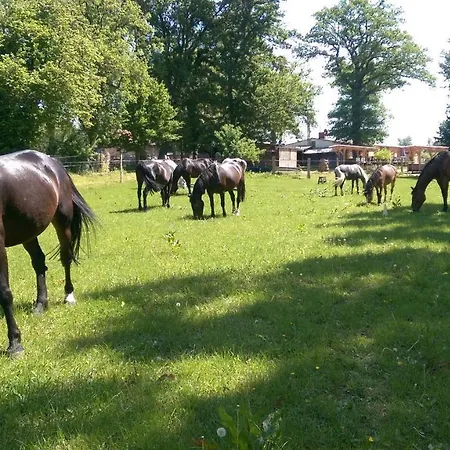 Luxus-ferienhaus Auf Reiterhof Art.quartier Сasa de vacaciones