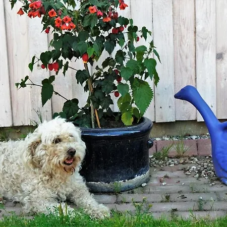 Luxus-ferienhaus Auf Reiterhof Art.quartier Velgast