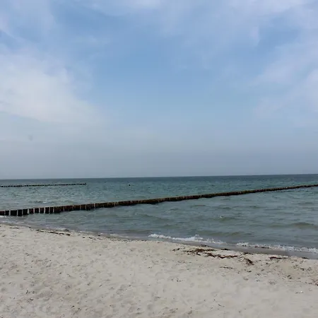 Luxus-ferienhaus Auf Reiterhof Art.quartier Velgast