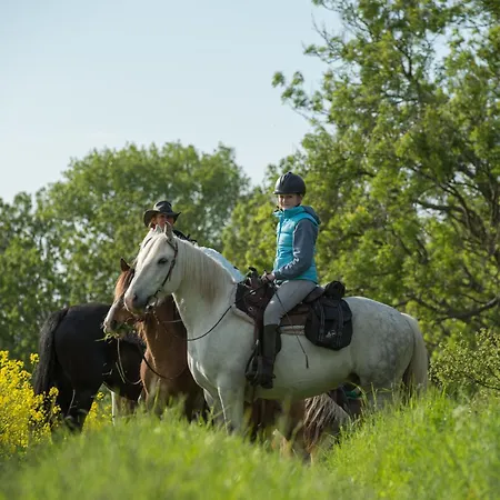 Luxus-ferienhaus Auf Reiterhof Art.quartier Сasa de vacaciones *