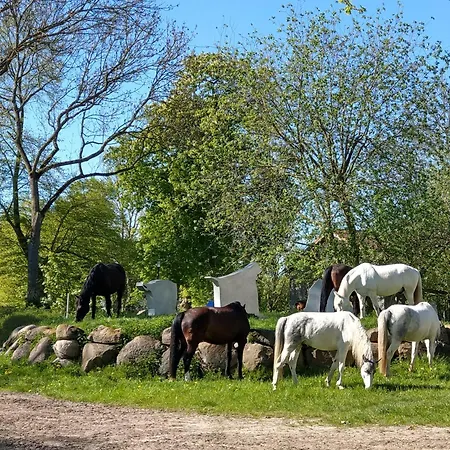 Сasa de vacaciones Luxus-ferienhaus Auf Reiterhof Art.quartier